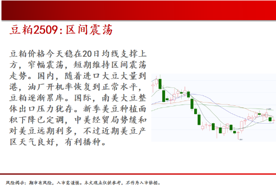 中天期货:螺纹减仓反弹 玻璃低位反弹  第9张