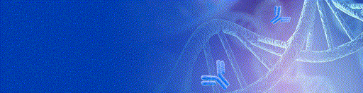 复星医药与梯瓦达成战略合作 共同开发肿瘤免疫治疗新药抗PD1-IL2疗法(TEV-56278) 第4张 复星医药与梯瓦达成战略合作 共同开发肿瘤免疫治疗新药抗PD1-IL2疗法(TEV-56278) 第4张