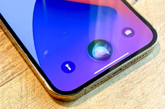 苹果将采用谷歌Gemini AI为Siri提供技术支持 第1张 苹果将采用谷歌Gemini AI为Siri提供技术支持 第1张