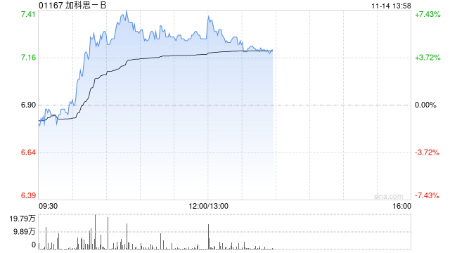 加科思-B午前涨超5% 公司设立联席首席执行官制度 第1张 加科思-B午前涨超5% 公司设立联席首席执行官制度 第1张
