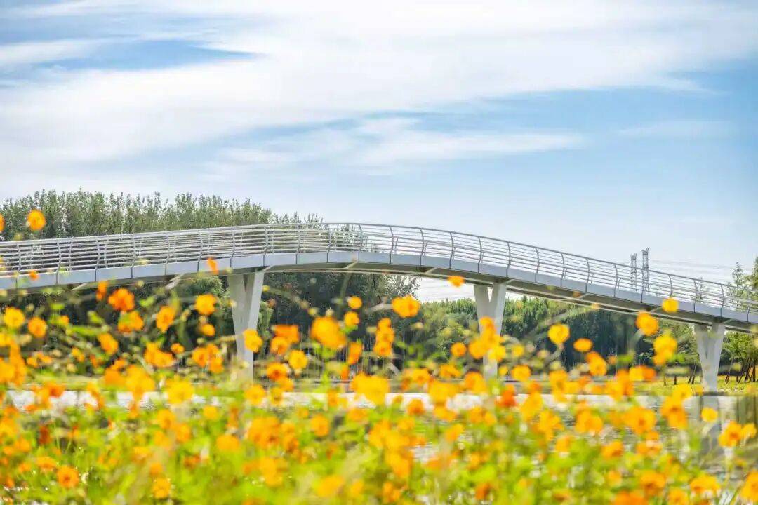 坝河“破茧”焕新,点亮城市滨水生活 第3张 坝河“破茧”焕新,点亮城市滨水生活 第3张