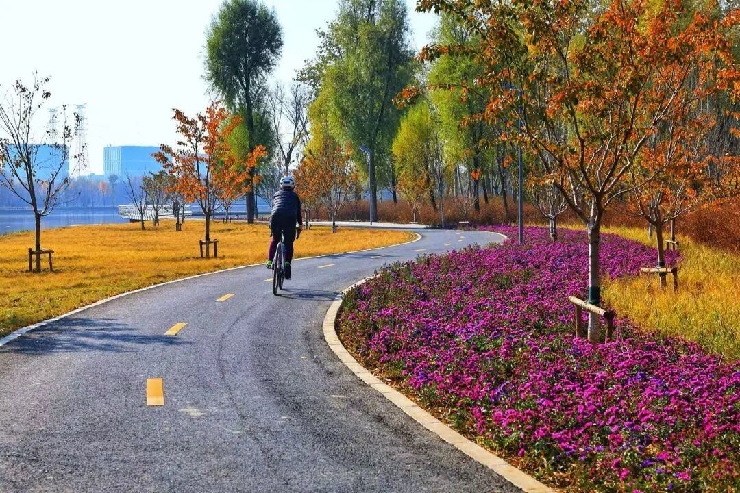 坝河“破茧”焕新,点亮城市滨水生活 第11张 坝河“破茧”焕新,点亮城市滨水生活 第11张