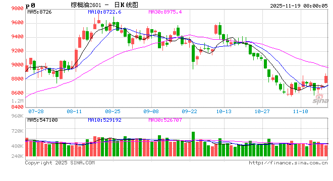 正信期货:棕榈油千点下跌后等待方向指引 第2张 正信期货:棕榈油千点下跌后等待方向指引 第2张