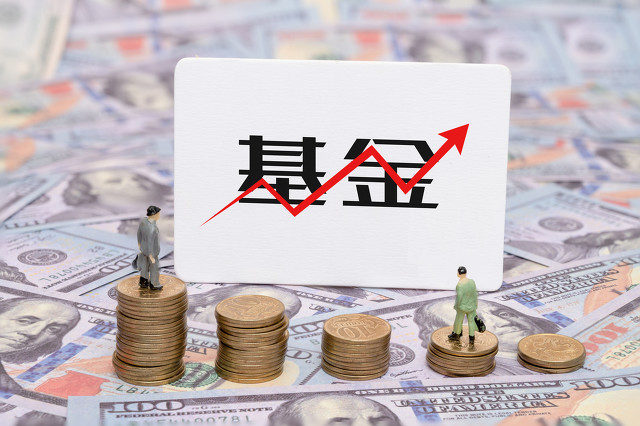 基金净值波动大是风险高吗? 第1张 基金净值波动大是风险高吗? 第1张