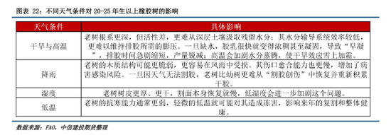 【建投橡胶年报】前行不畏荆棘霜，彼岸自有百花芳  第22张