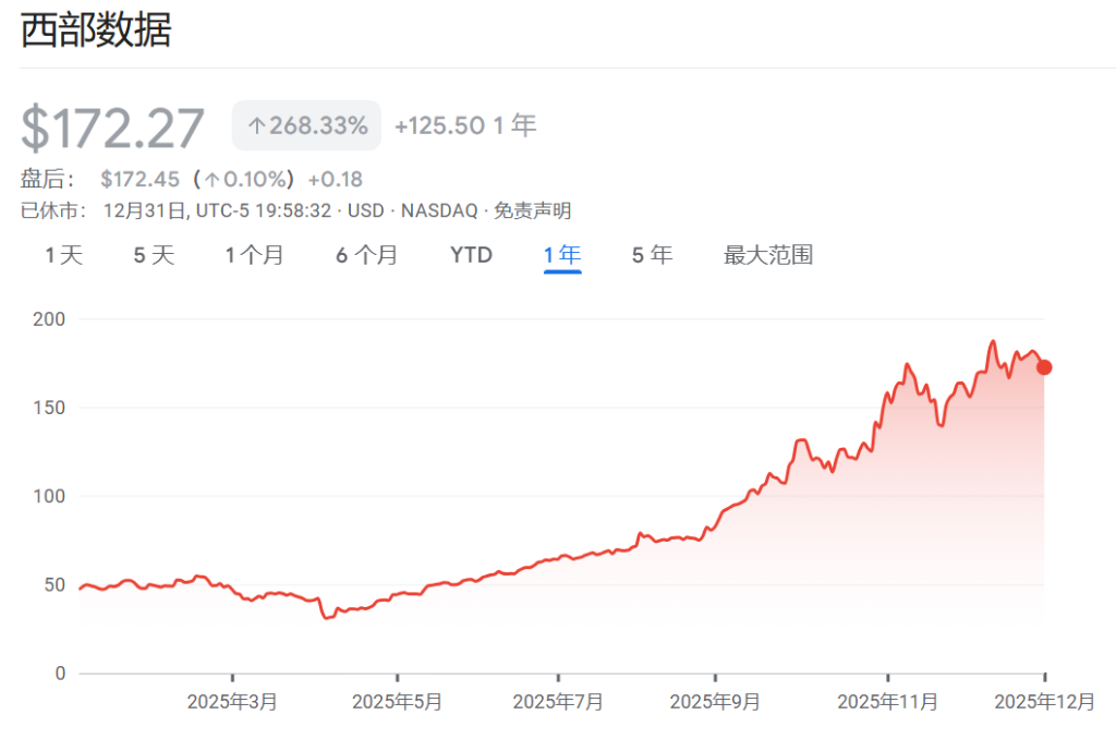 2025年美股最强Top 10，存储占了3只  第2张