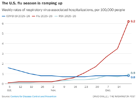 流感病例持续攀升，新毒株对老年人致病力更强  第2张