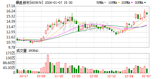 鼎胜新材：公司无逾期对外担保的情形  第1张