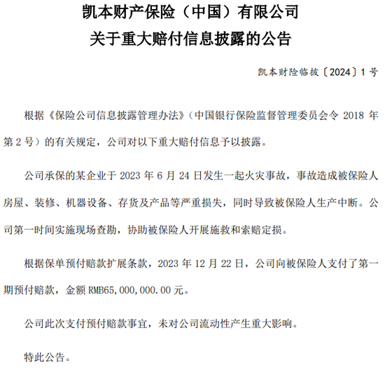 一起重大赔付拉开凯本财险业务调节、人事更迭大幕：总资产连年下降，保费持续负增长，掌舵人生变  第6张