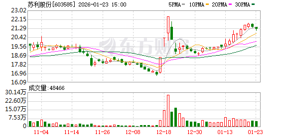 苏利股份:公司无逾期担保 第1张 苏利股份:公司无逾期担保 第1张