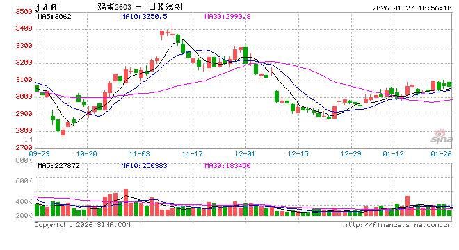 卓创资讯：1月蛋鸡养殖终现盈利 2月预期季节性回落  第2张