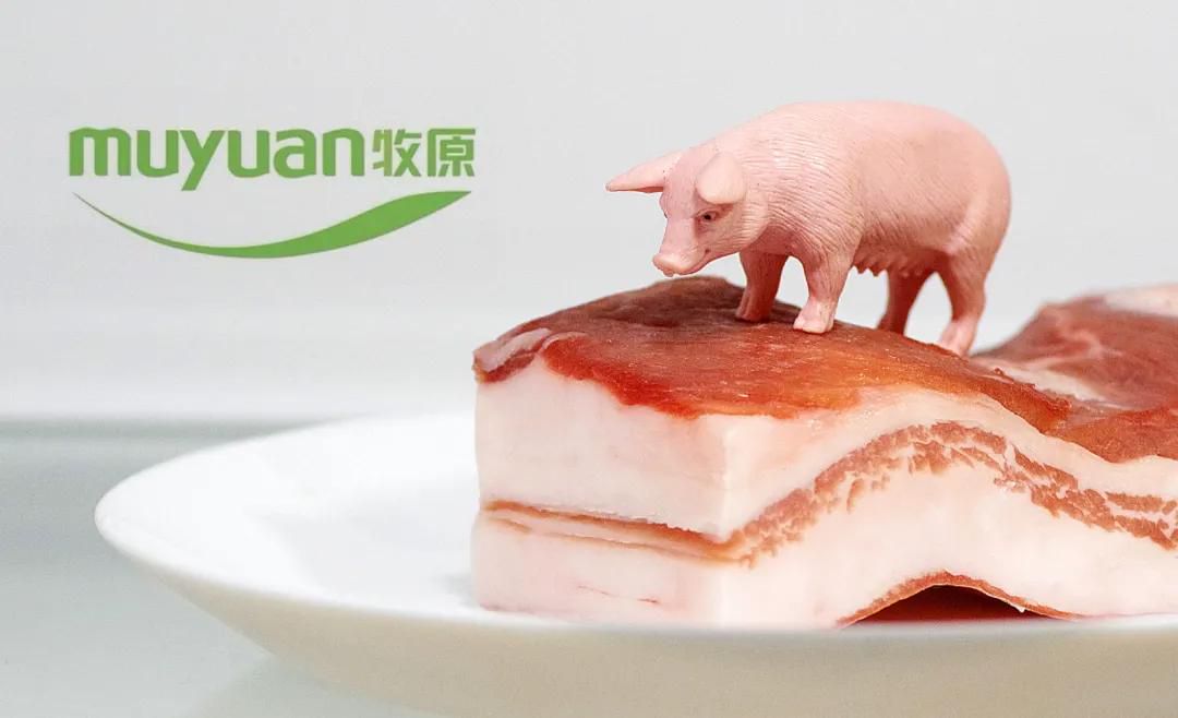 牧原食品开启招股：拟募资100亿 2月6日上市 预计年净利同比降15%  第3张