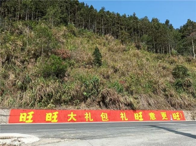 旺旺搞大事了！刷遍全国农村，  方言喊出最浓中式年味 第14张