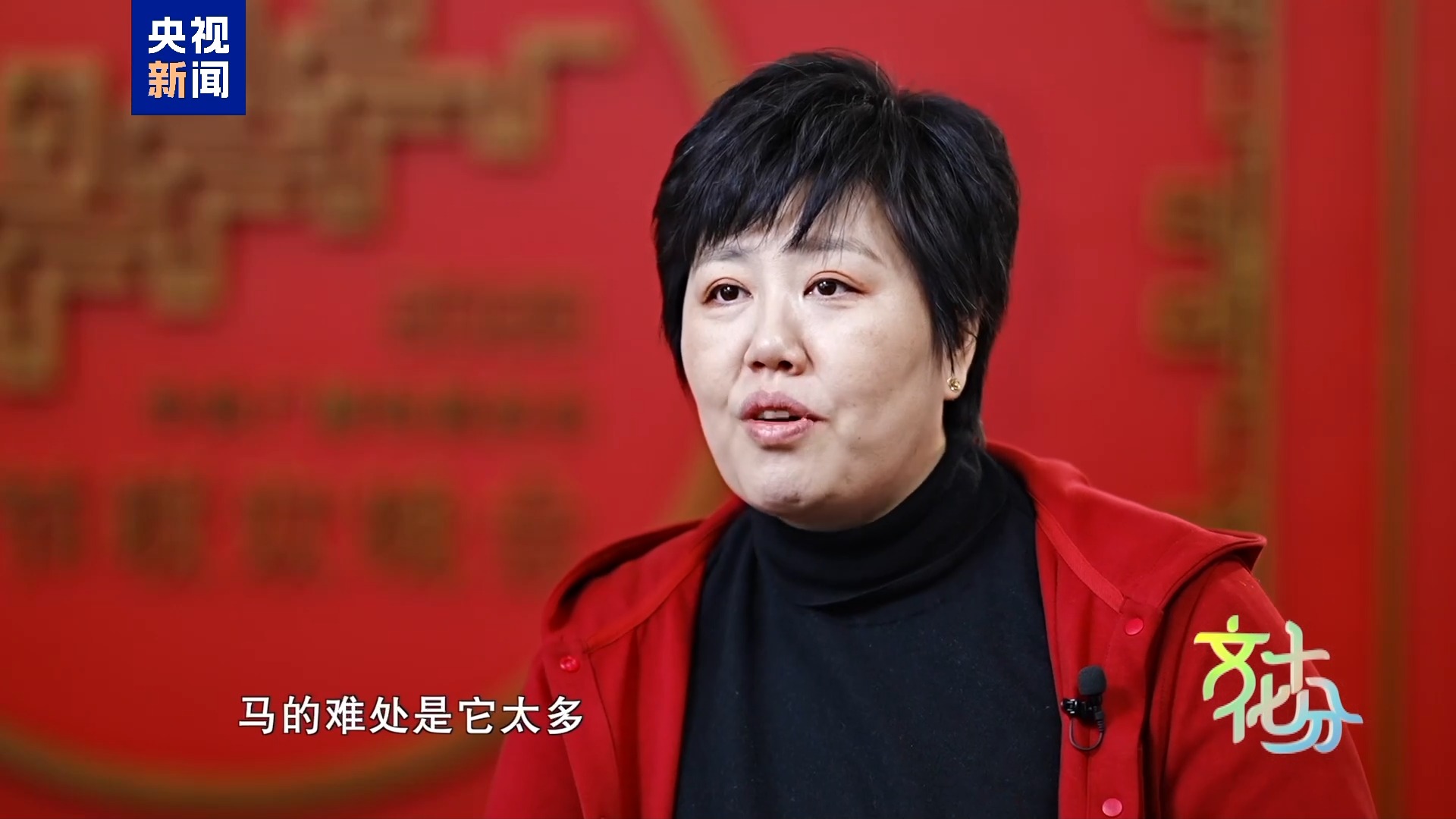 马年春晚有何“心”意？总导演于蕾揭秘  第4张