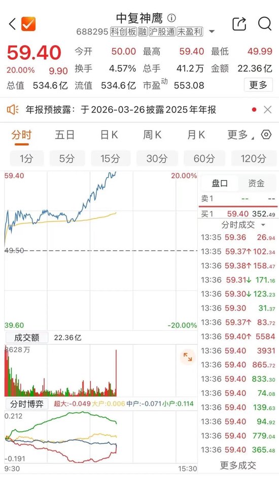 午后“20cm”涨停！688295股价创新高  第1张