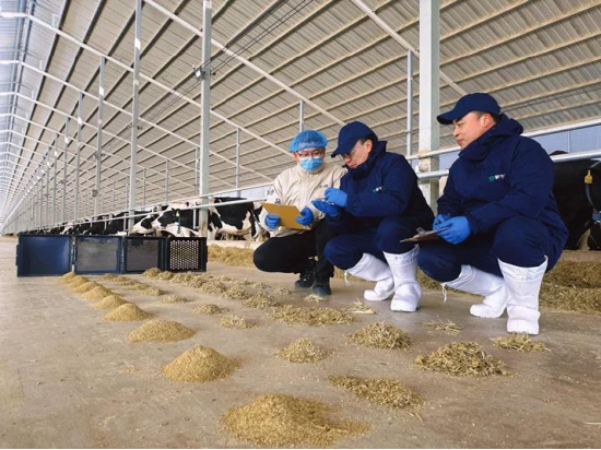 蒙牛发布2025年财报:进化强韧性,蓄力迎增长 第5张 蒙牛发布2025年财报:进化强韧性,蓄力迎增长 第5张